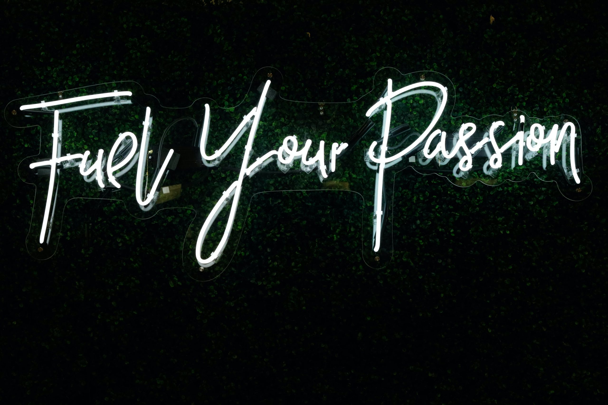 the biggest lie in passion - it is all about passion...