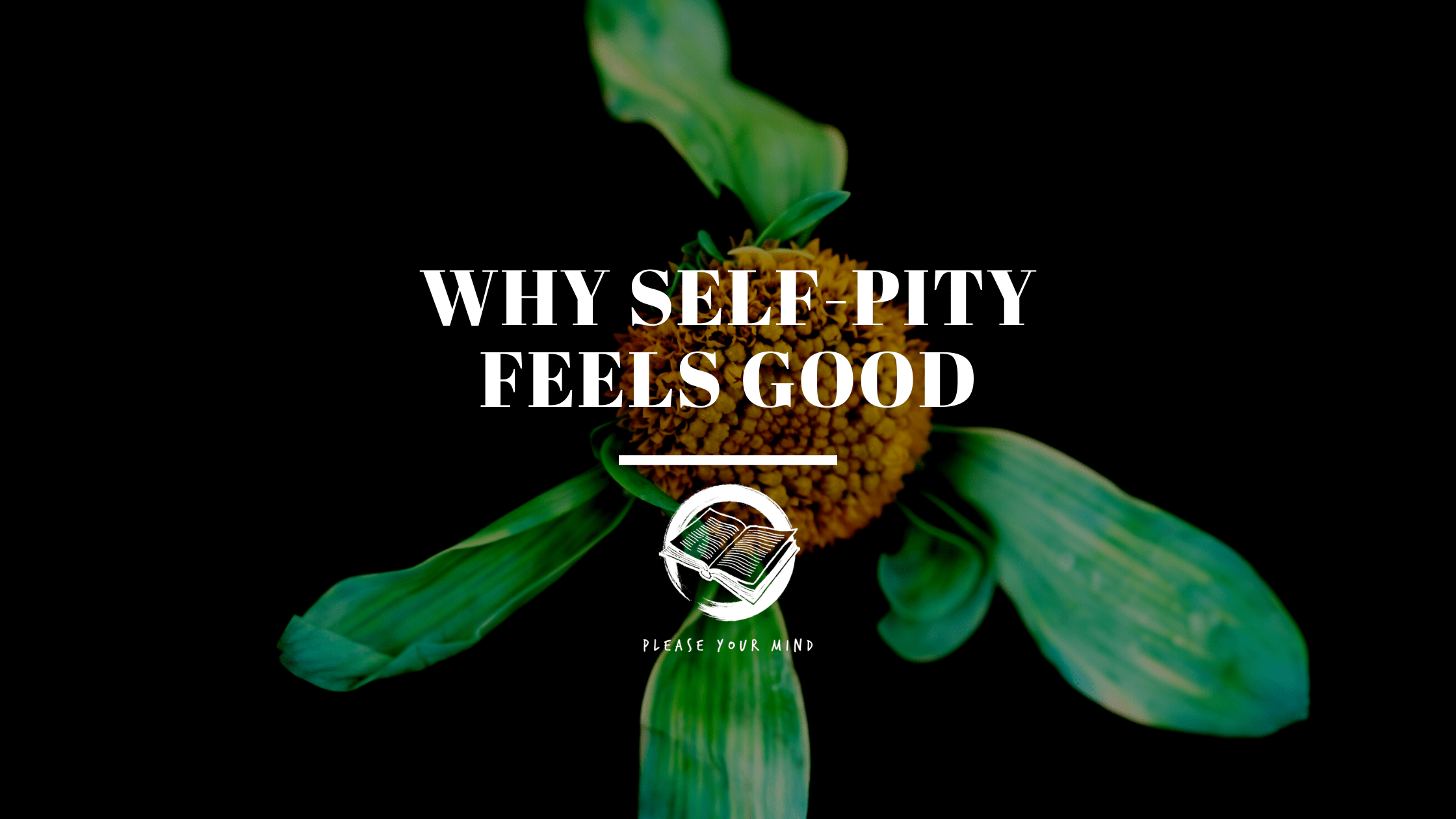 Why Self-Pity feels good