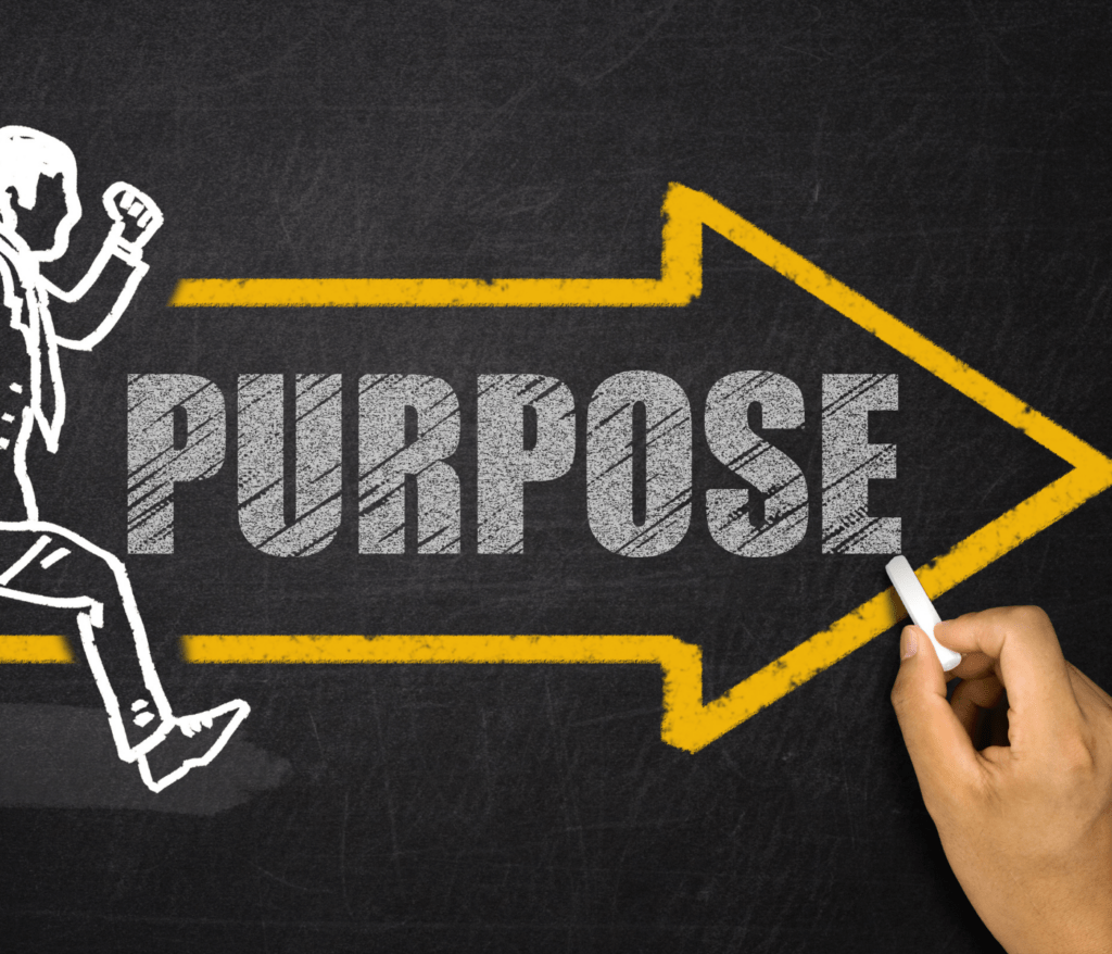 The invincible mindset 101- the purpose is the fuel of your life